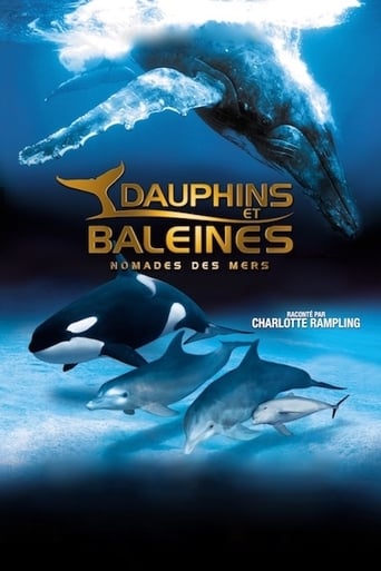 Dauphins et baleines : Nomades des mers