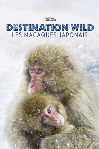Destination Wild: Les macaques japonais