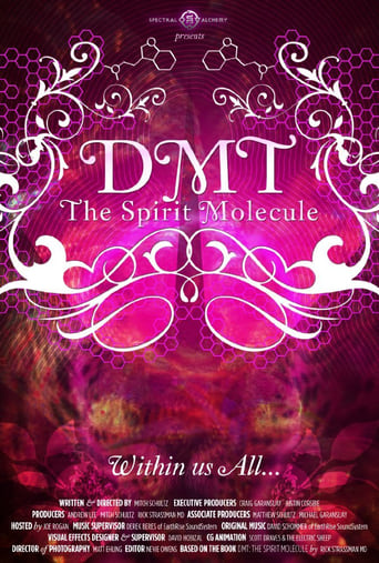DMT : The Spirit Molecule