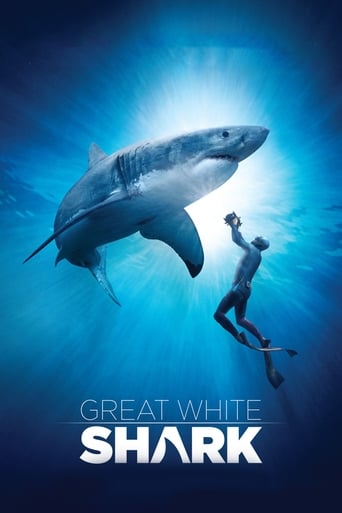 Le Grand Requin Blanc