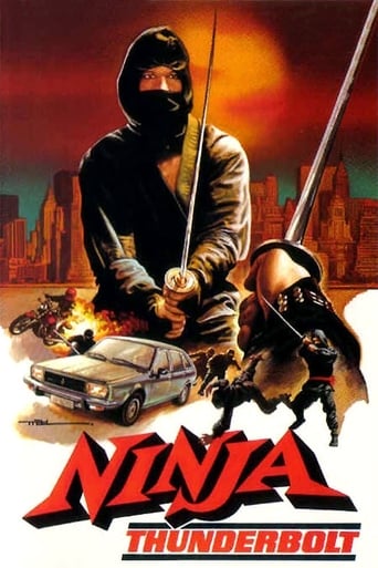 Ninja Fury