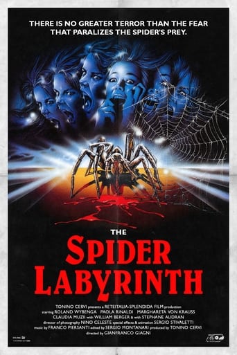 Spider Labyrinth