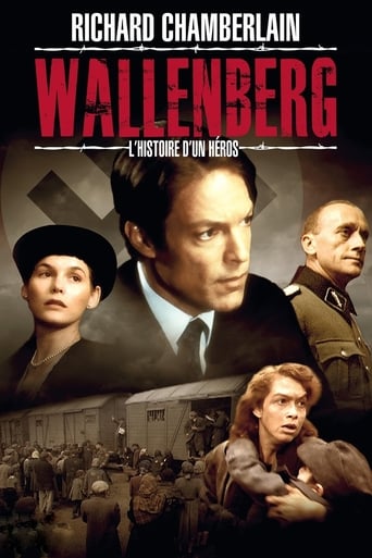 Wallenberg : L'histoire d'un héros